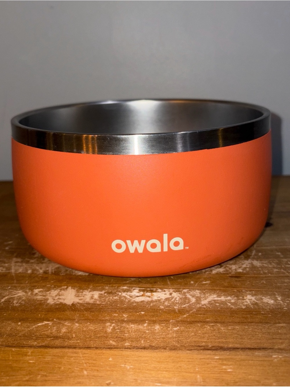 Owala Insulated Stainless Steel Pet Bowl